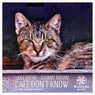 Catz Don't Know (Alex Raider Remix)
