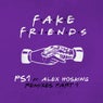 Fake Friends (Remixes Pt.1)