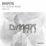 Till I Reach My Dreams (Original Mix)