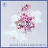 Changes (Extended Mix)