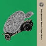 Turtle's Pace