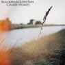 Black Music Love Tape - EP