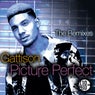 Picture Perfect (The Remixes)