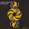 Moonlit Secrets