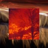 red sunset winter sky