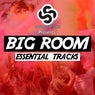 Seriously Records Presents: Big Room (Essential Tracks)