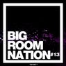 Big Room Nation Vol. 13