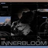 Innerbloom - Extended Mix