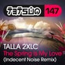 The Spring Is My Love (Indecent Noise Remix)