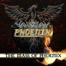 The Mass of Phoenix