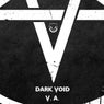 Dark Void