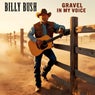 Gravel in my Voice