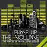 Pump Up the Volume (The Finest in Progressive House)