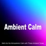 Ambient Calm (Melt into the Atmopsheric Calm with These Ambient Tones)