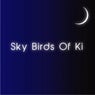 Sky Birds Of Ki EP