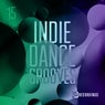 Indie Dance Grooves, Vol. 15