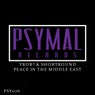 Peace In The Middle East