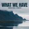 What We Have