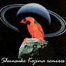 Remixes