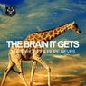 The Brain It Gets