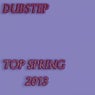 Dubstep Top Spring 2013
