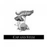 Cap and Stem