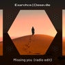 Missing you - Radio Edit
