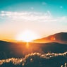 Beautiful Dawn