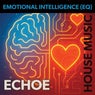 Emotional Intelligence (Eq)