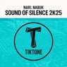 Sound of Silence 2k25 