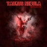 Taurus Nebula: Sector 2.5|40