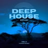 Deep-House Safari, Vol. 3