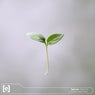 New Life