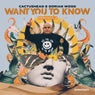 Want You to Know (Remixes 2)