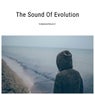 The Sound of Evolution (Original Mix)