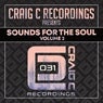 Sounds for the Soul, Vol. 2