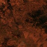 Additional Vectors