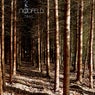 Trail