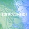 BEST OF CAUSE ORG 2024