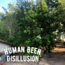 Disillusion