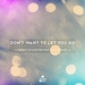Dont Want to Let You Go (feat. Troy Denari)