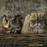 Ask Yourself (groove Mix)