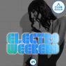 Electro Weekend Volume 24