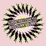 Miss Sunny Bunny