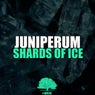 Shards Of Ice - Single