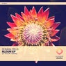 Bloom / Divided