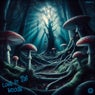 Lost in the Woods