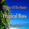The Way Of The Master / Tropical Bass (Inspiring Proghouse Meets Vibrant Deephouse Music) - Single