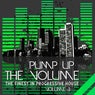 Pump Up the Volume (The Finest in Progressive House Vol. 3)