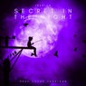 Secret in the Night